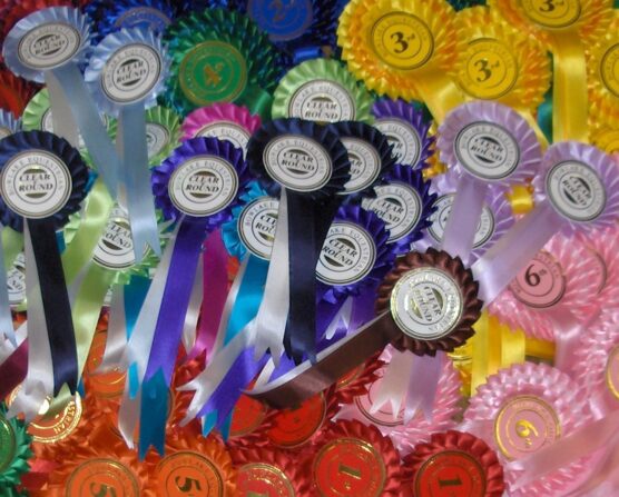 collection of rosettes